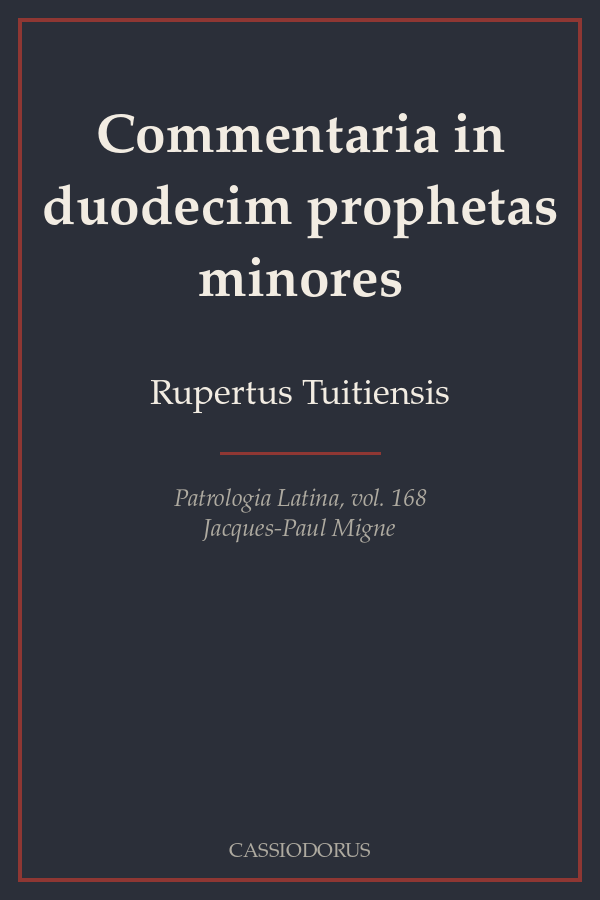Commentaria in duodecim prophetas minores cover