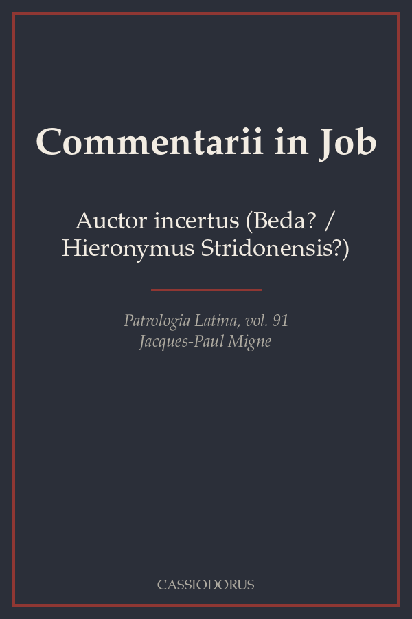 Commentarii in Job cover