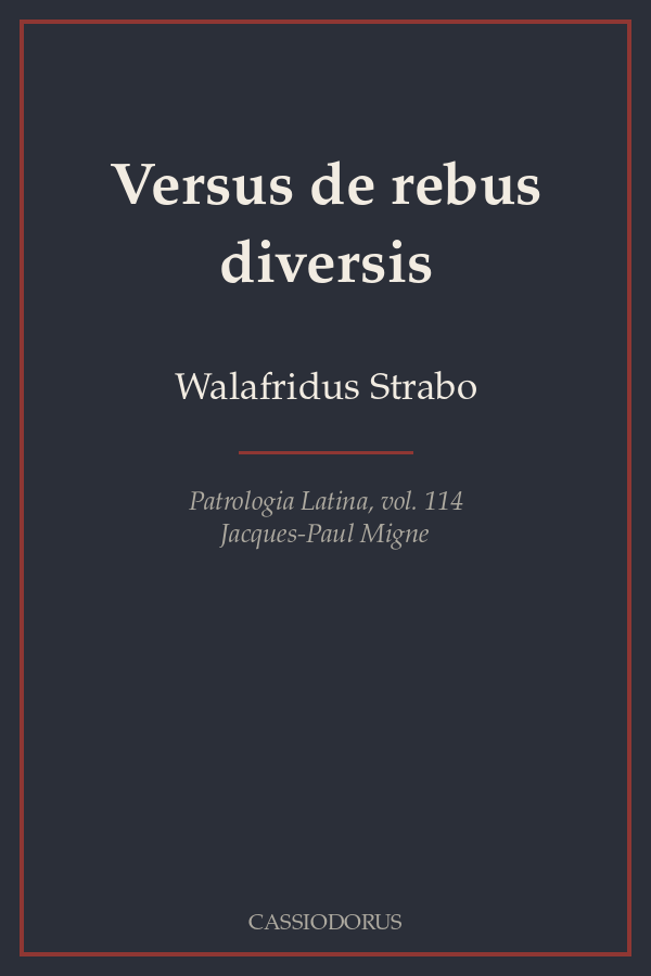 Versus de rebus diversis cover